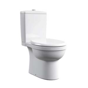 Pure Flow Dual-Flush Toilet